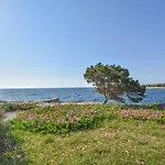 Apartman Ivan Veli Rat