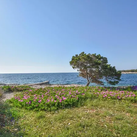 Apartamento Ivan Veli Rat