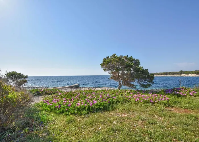 Appartement Ivan Veli Rat