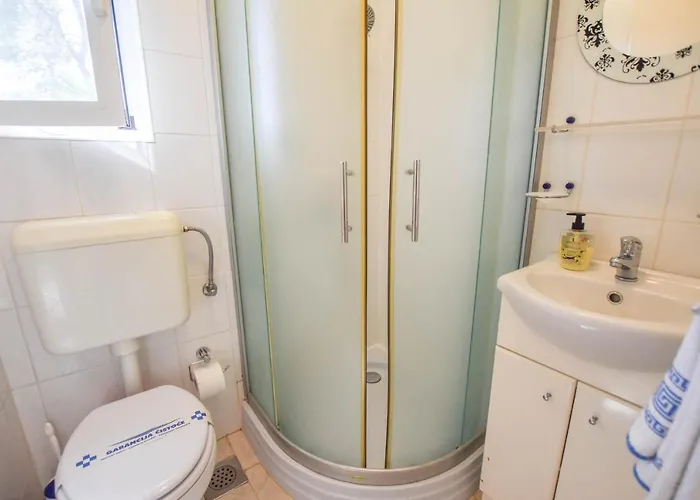 Ivan فيلي رات