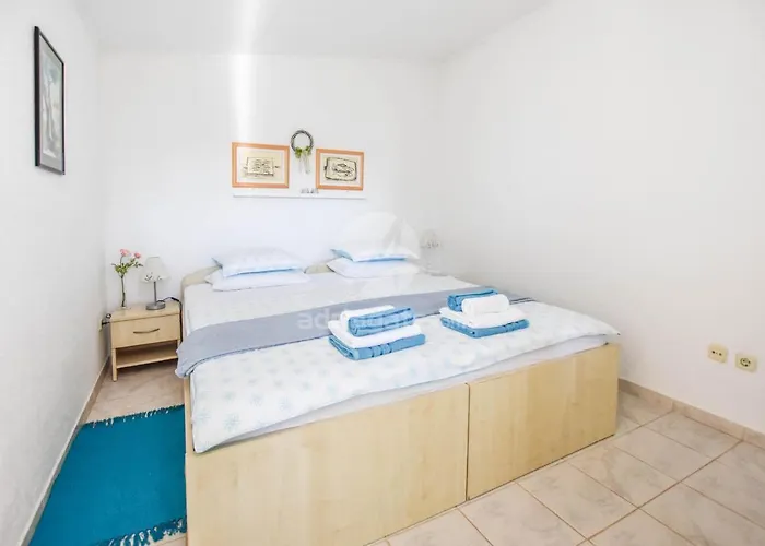 Ivan * فيلي رات